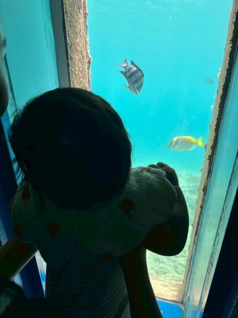 海中公園の写真